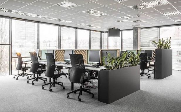 Tông màu đen kết hợp với cây xanh